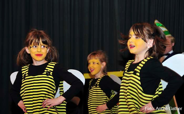 Elferratssitzung 2012 – Bild 12