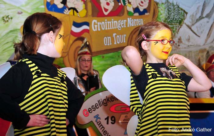 Elferratssitzung 2012 – Bild 14