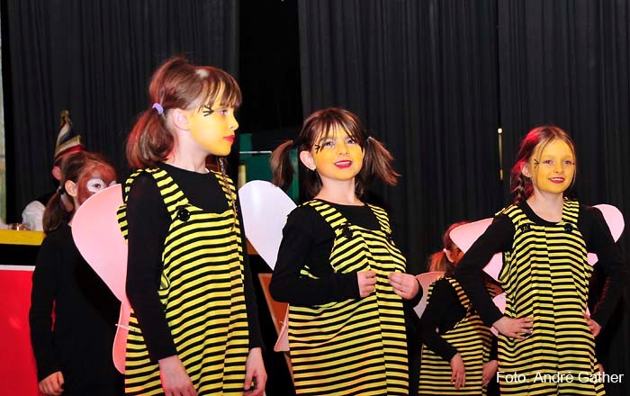 Elferratssitzung 2012 – Bild 15