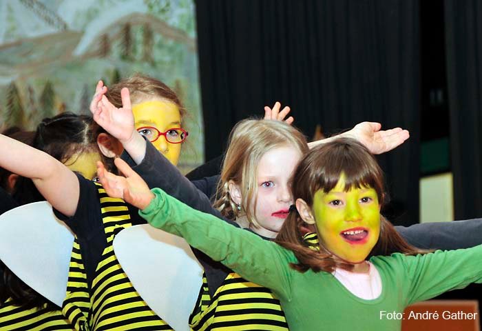 Elferratssitzung 2012 – Bild 16