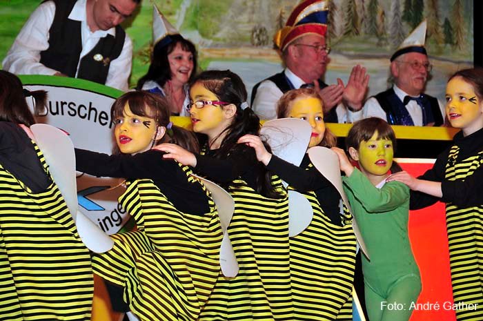 Elferratssitzung 2012 – Bild 22